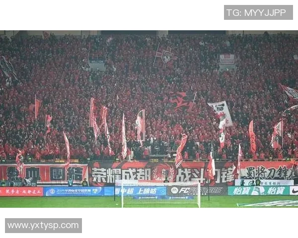 深圳乒乓球队比赛经验引发热议球迷与专家观点交锋激烈